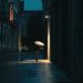 City-view-2