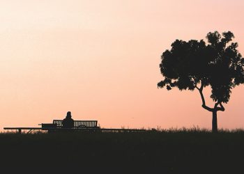 enq-1998-P3cTeYTvsHk-unsplash