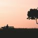 enq-1998-P3cTeYTvsHk-unsplash