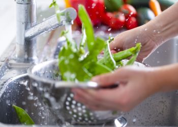 Woman Washing bright green snow peas in a colander in the sink.