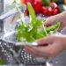 Woman Washing  bright green snow peas in a colander in the sink.