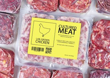 Cultured chicken meat concept for artificial in vitro cell culture meat production with frozen packed raw meat with label