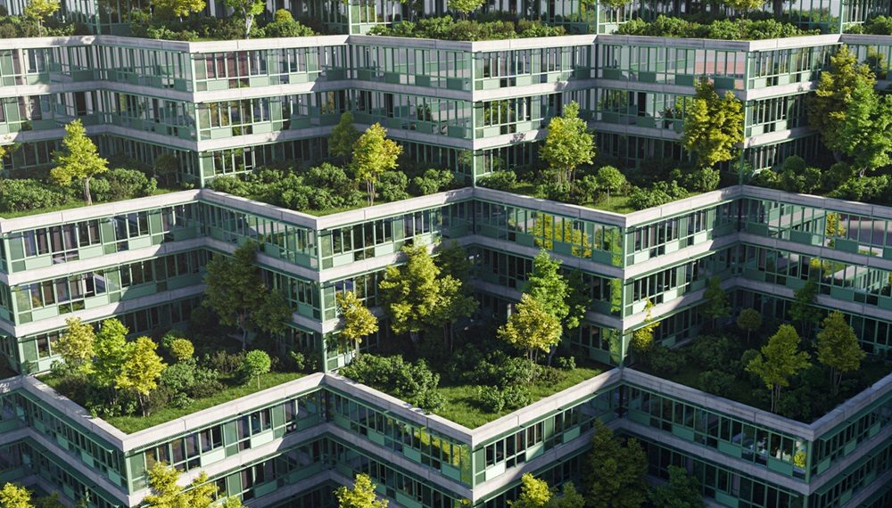 Roof garden