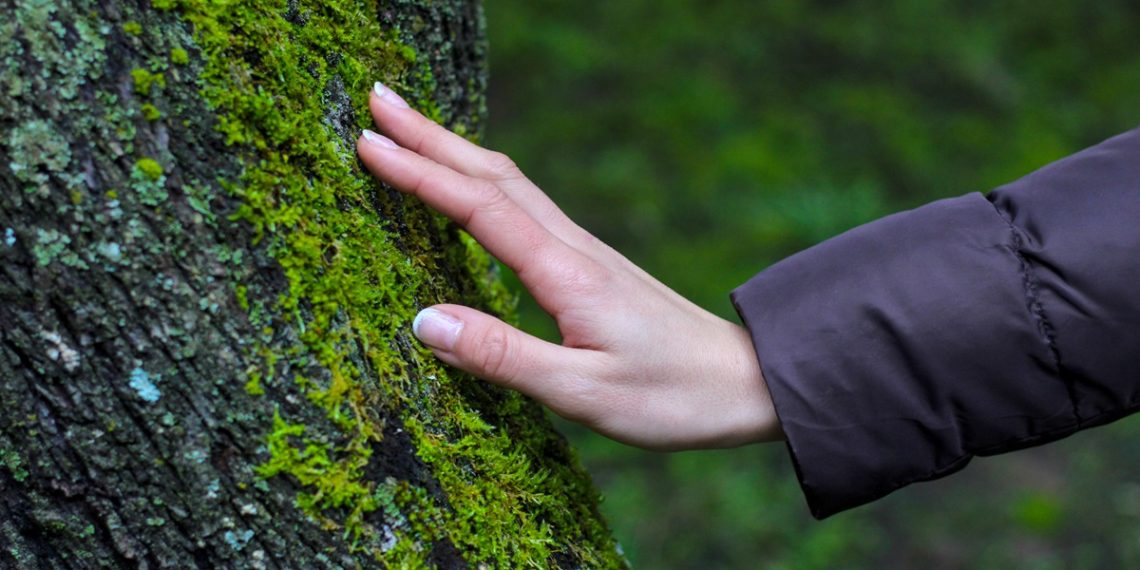 Woman's hand gently touching tree moss