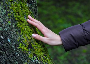 Woman's hand gently touching tree moss