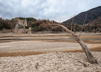 Drought