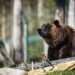 janko-ferlic-ypS9j3UzqLk-unsplash