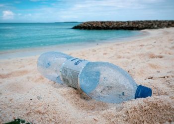 mare-plastica-1024x576