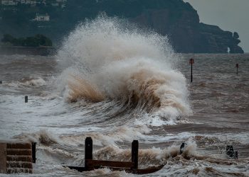 ray-harrington-GVVCNNTLJGo-unsplash-OK