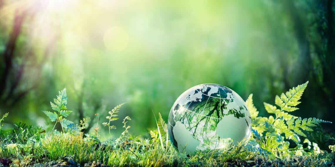 sviluppo-sostenibile-green-economy