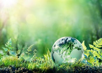 sviluppo-sostenibile-green-economy