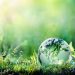 sviluppo-sostenibile-green-economy