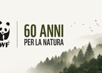 I primi 60 anni del WWF