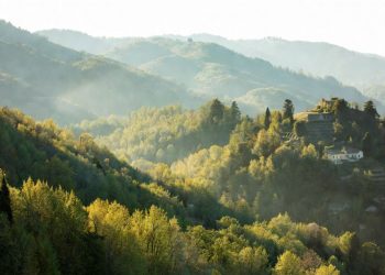 Foreste in Italia: superano i campi coltivati da 20 anni