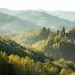 Foreste in Italia: superano i campi coltivati da 20 anni
