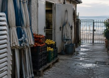 Morlicchio: il taglio del reddito di cittadinanza serve a liberare manodopera per l'estate
