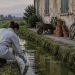 West Nile, l'Italia è il Paese più colpito d'Europa: 748 casi e 56 decessi